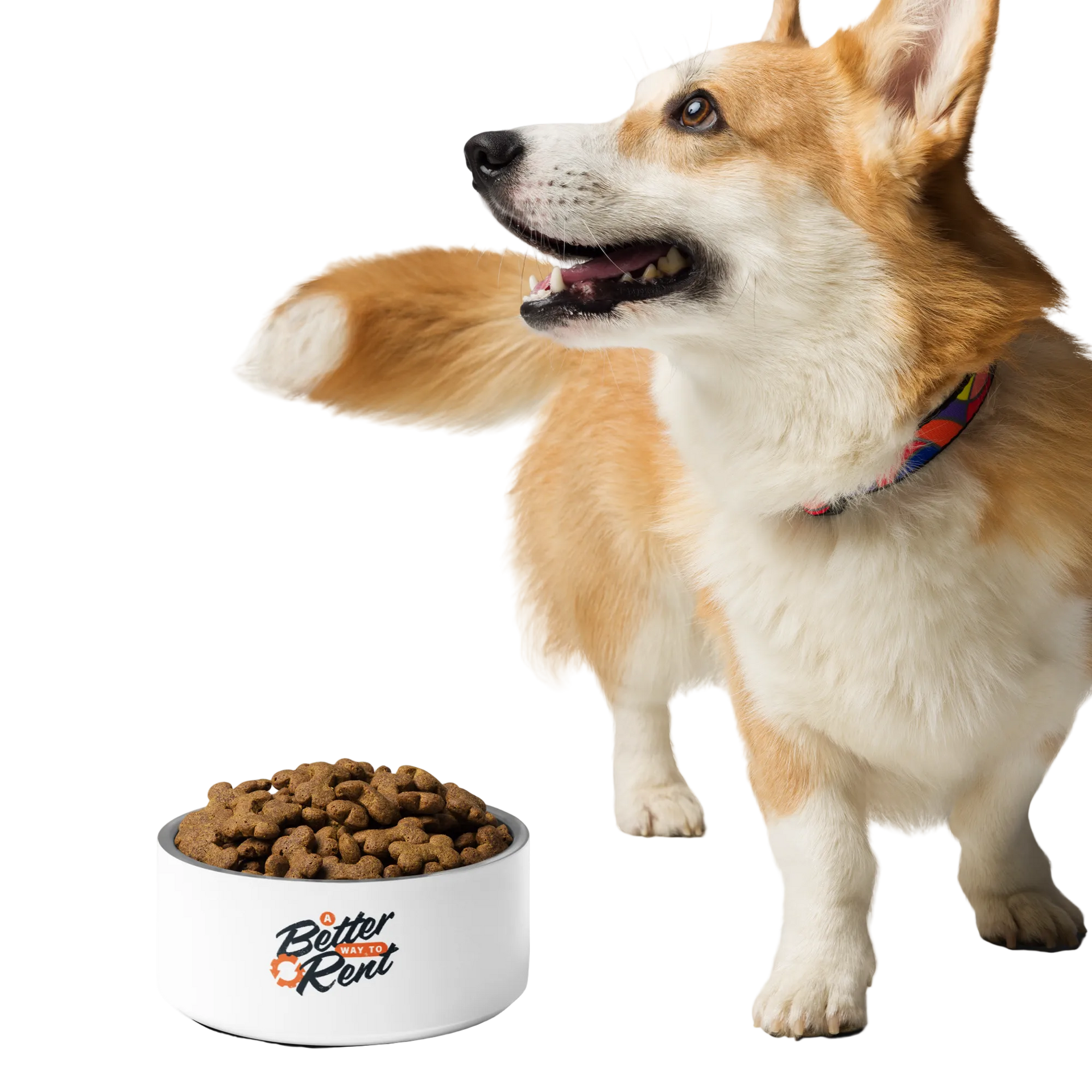 ES Better Rent Pet bowl