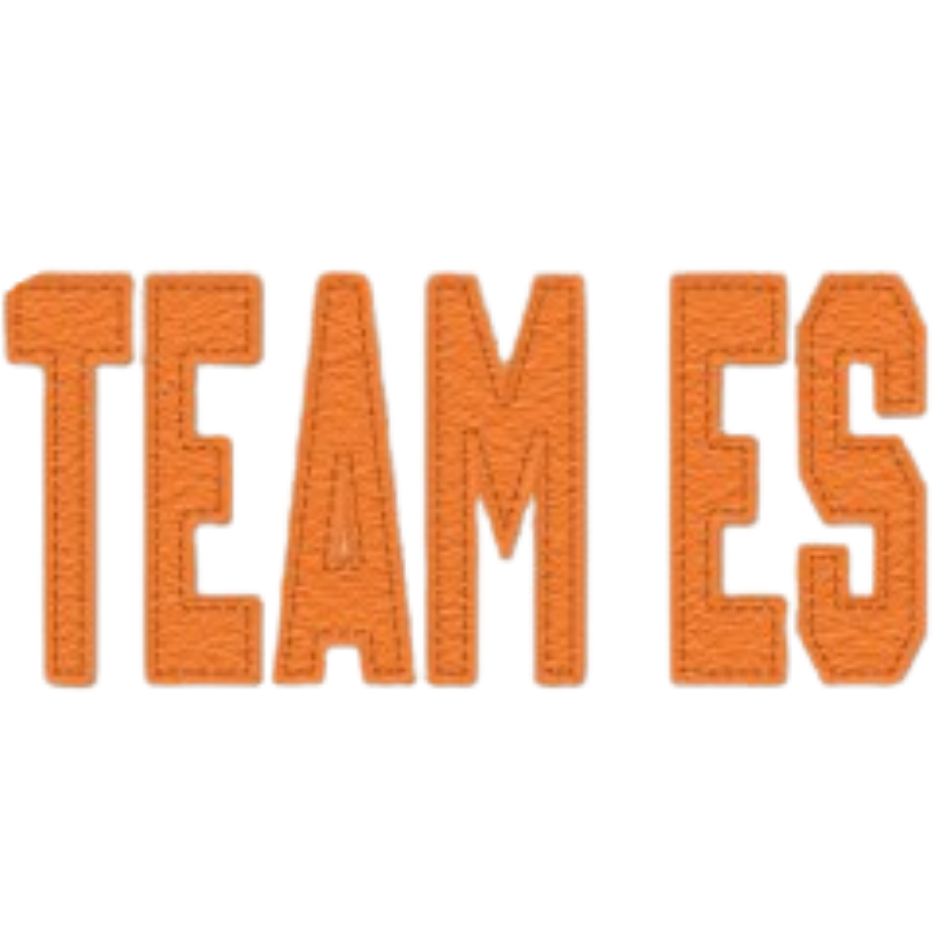 TEAM ES Felt Applique Crewneck!