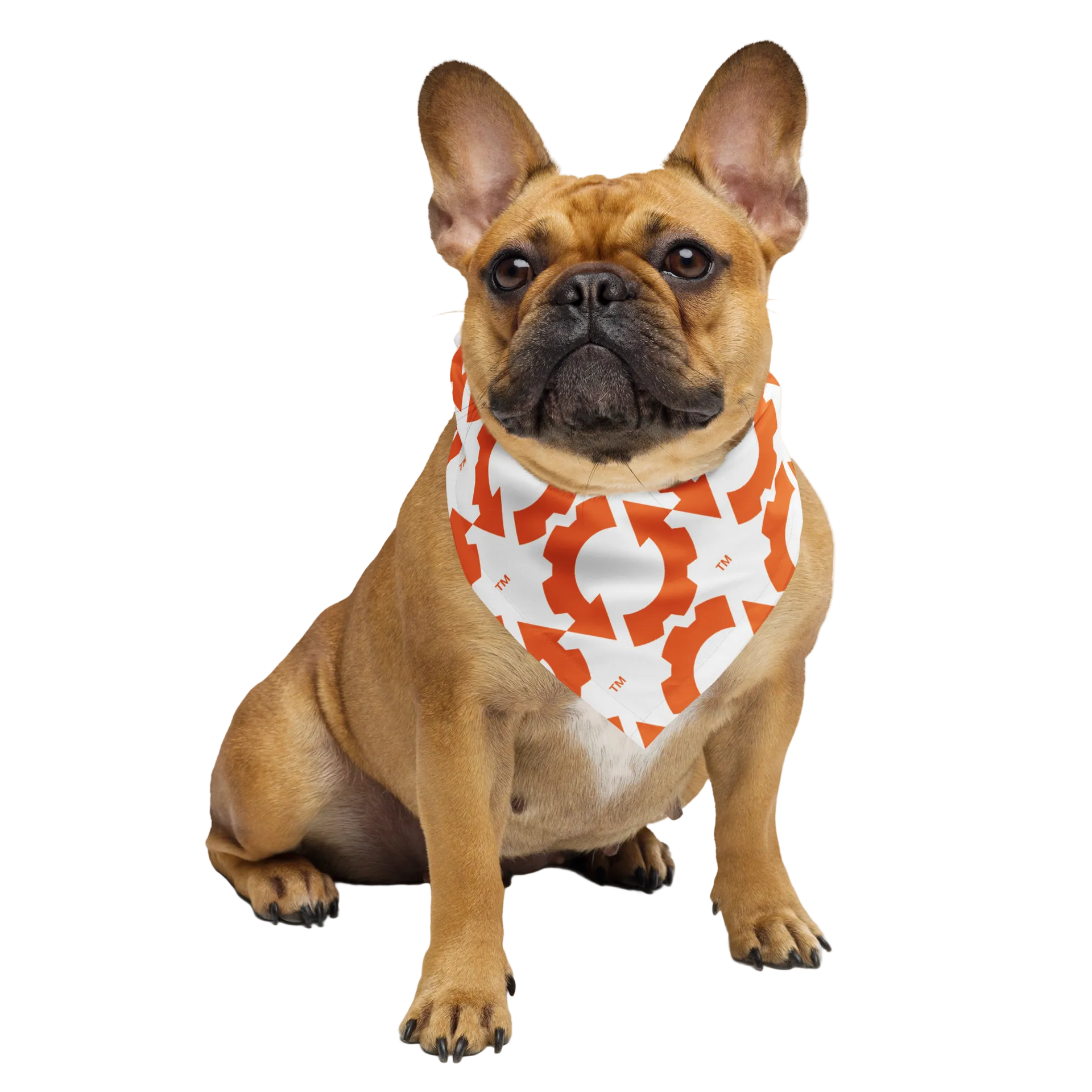 ES COG All-over print bandana