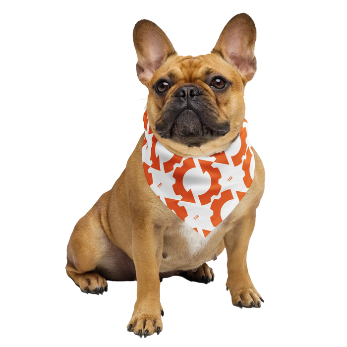 ES COG All-over print bandana