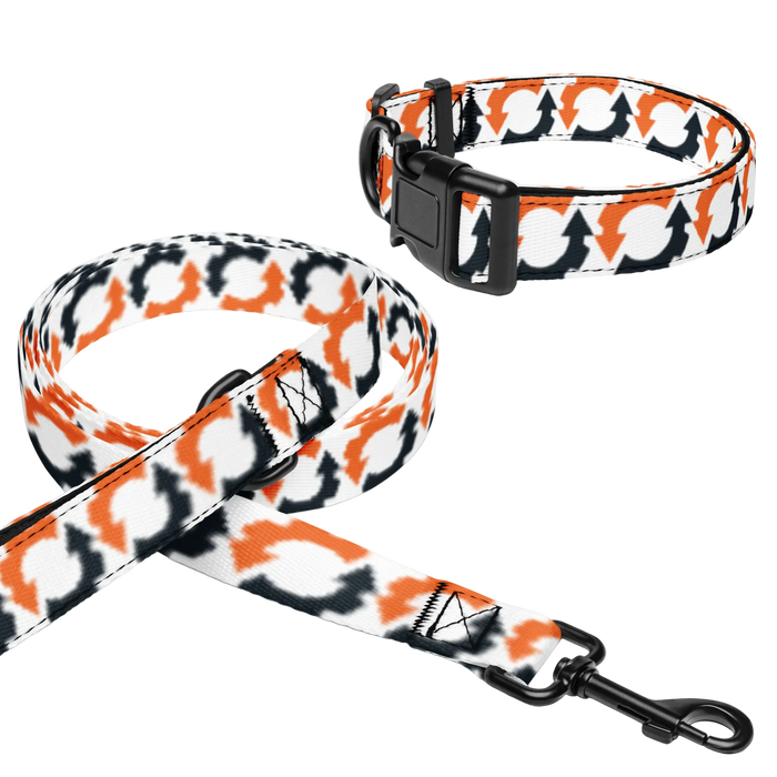 ES COG Pet collar & leash